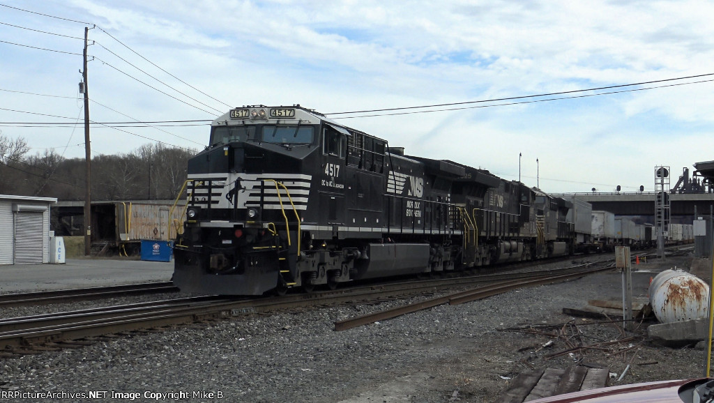 NS 4517